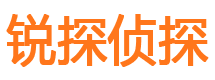 大新寻人公司